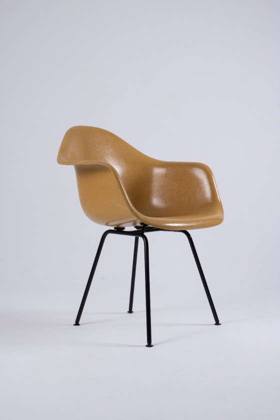 Image 1 of DAX Eames en fibre de verre – Light Ocre – Herman Miller / Vitra – circa 1965-1975
