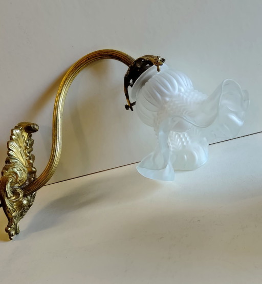 Schwanenhals-Wandleuchten aus Bronze und Glas - frühes 20. Jahrhundert