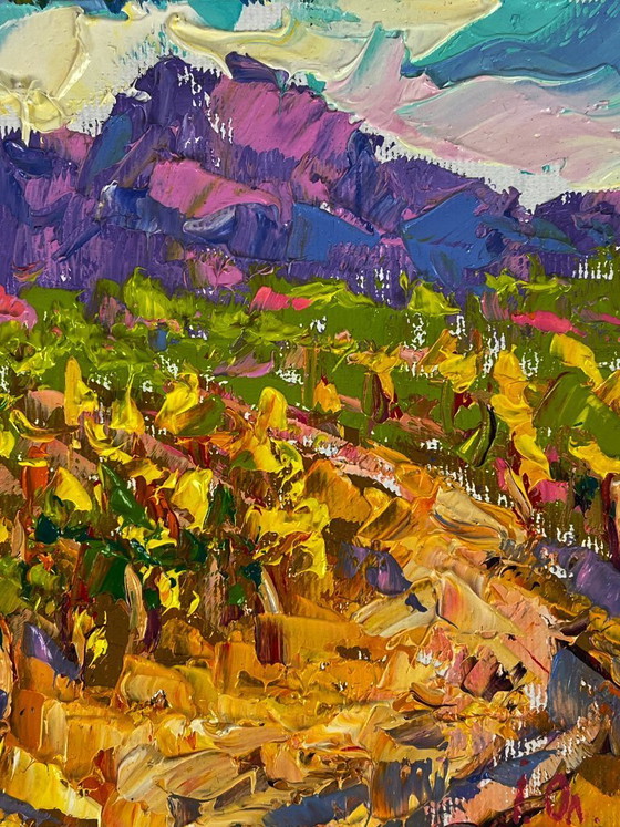Image 1 of Vineyards near the Mountains