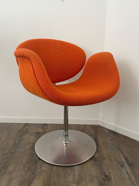 Image 1 of Artifort Little Tulip F163 Swivel Armchair