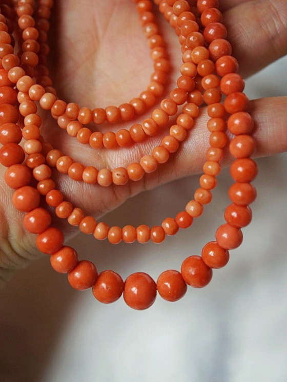 Image 1 of Très long sautoir ancien Art Déco en corail naturel perles en chute 2m