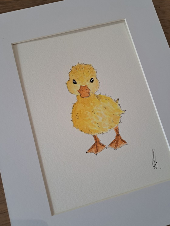Origineel aquarel baby eendje | Inclusief lijstframe – Schilderijen & Tekeningen, Paper (photo 3 of 5)
