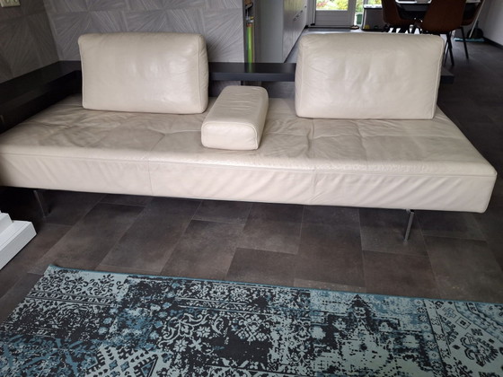 Rolf Benz Dono 3-seater – Sofas, Leather, Wood (photo 6 of 9)