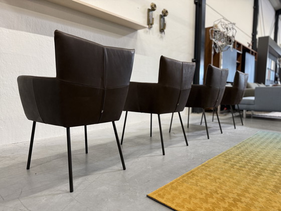 Image 1 of 4 Design on Stock Sedie da pranzo Moka in pelle Cabo Marron