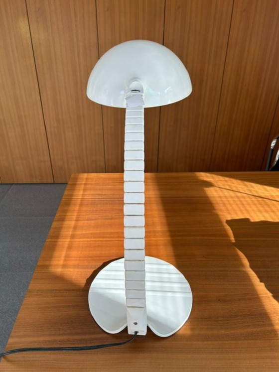 Martinelli Luce Flex Calotta 660 – Tischlampen, Metal, Plastic (photo 4 of 7)