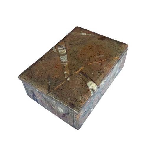 Boîte à bijoux ou coffret unique en Fossiles le secret du marbre Orthoceras - Naturally Chic