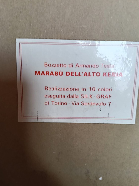 Image 1 of Armando TESTA - "Marabù dell'Alto Kenia" - Rara Serigrafia Originale Silk-Graf