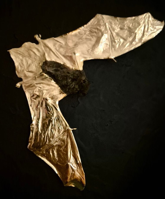 Image 1 of Vero pipistrello tassidermizzato placcato in oro 23kt in cornice