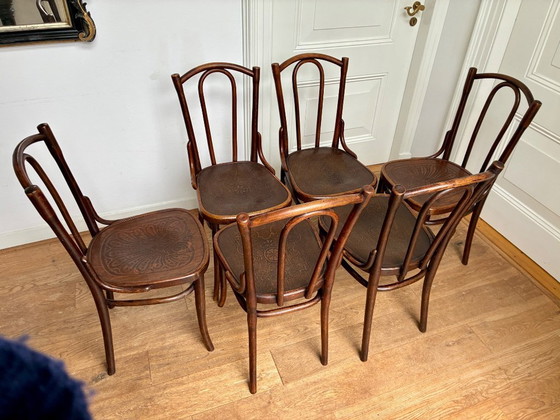 Image 1 of 6 sillas Thonet n.º 56