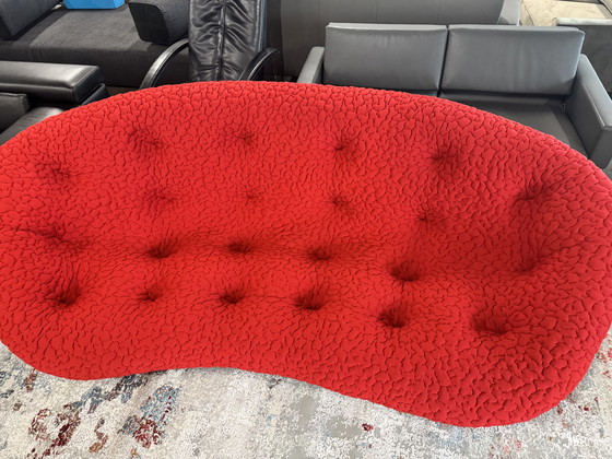 Image 1 of Ligne Roset Ploum