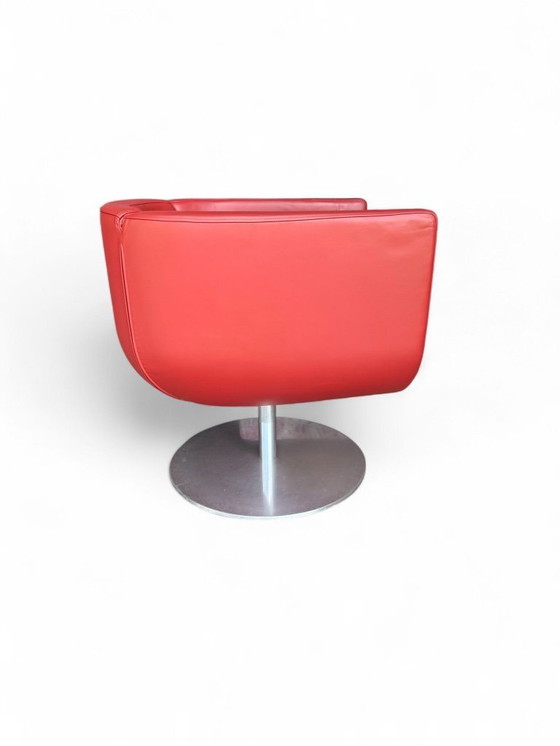 Image 1 of Chaises Tulipe de B&B Italia, années 1990, lot de 4