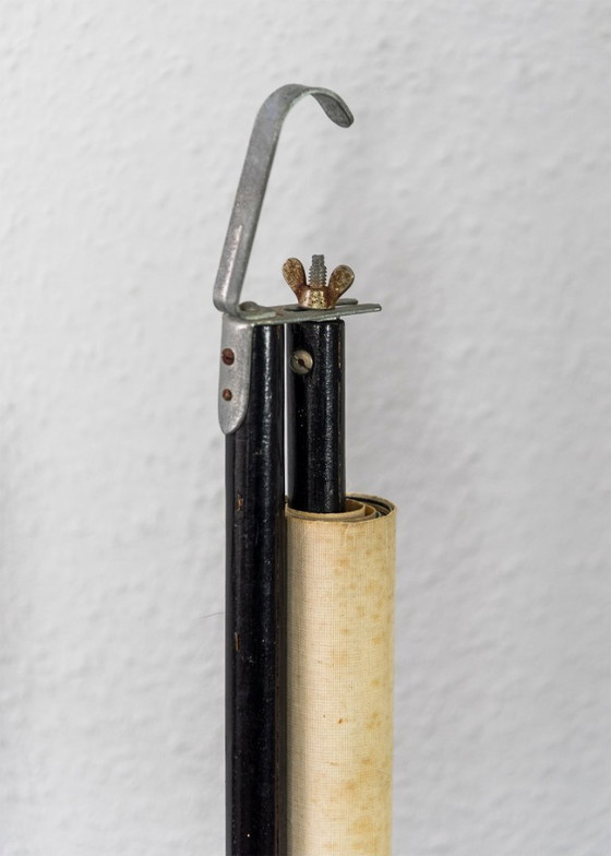 Image 1 of Originele schoolmuurkaart uit 1962 van de zandhagedis, Jung Koch Quentell biologie leskaart oprolkaart vintage