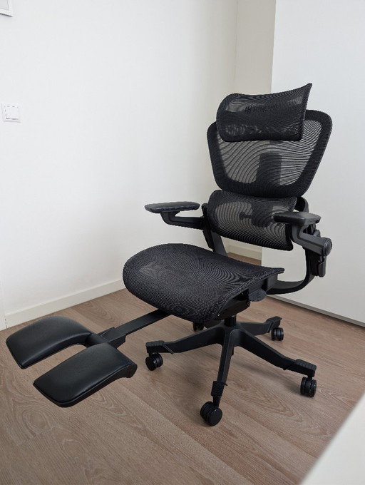 Hinomi H1 Pro Ergonomic Office Chair – bureaustoelen, Metal, Plastic