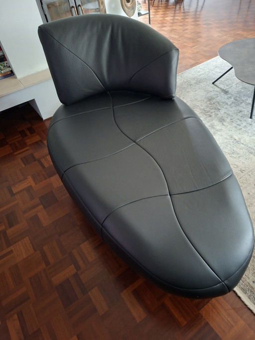 Leolux Kikko – chaises longue, Leather, Metal (photo 2 of 7)