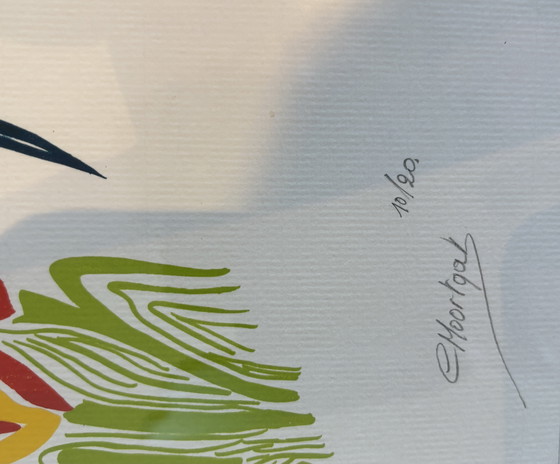 Image 1 of ¡Primavera!