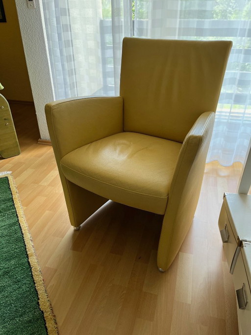 Longlife lederen fauteuil Valdalpone