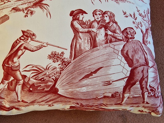 Image 1 of 2 Throwing pillows Toile de Jouy