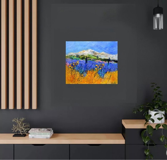 Image 1 of Estate in Provenza