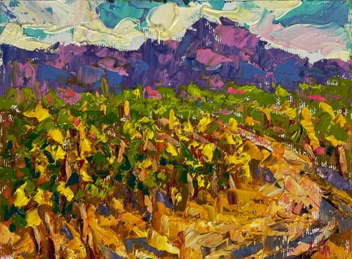 Vineyards near the Mountains
