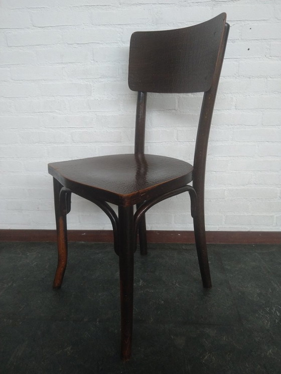 Image 1 of Silla Thonet Mundus con estampado de cocodrilo