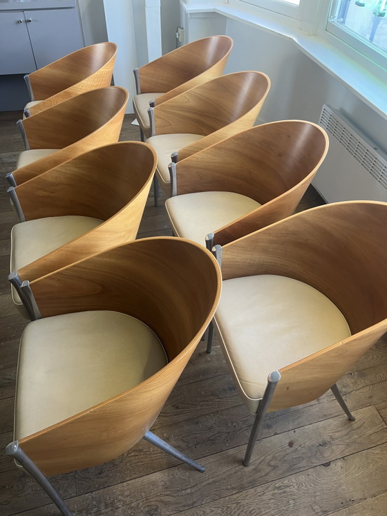 8x Aleph Starck King Costes – Philippe Starck, Sedie da pranzo, Leather, Wood (photo 7 of 9)