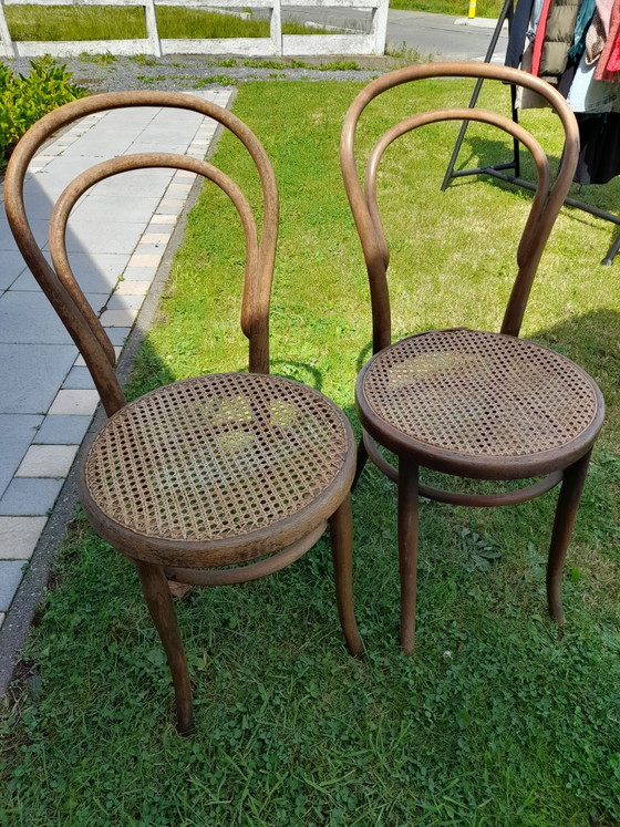 Image 1 of 2 sedie Thonet