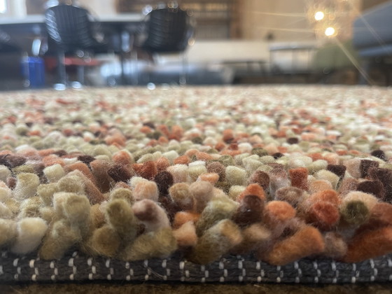 Image 1 of Brink and Campman Dots Pumpkin carpet