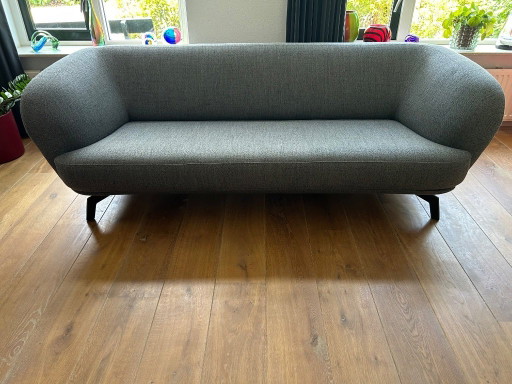 Leolux Flint sofa