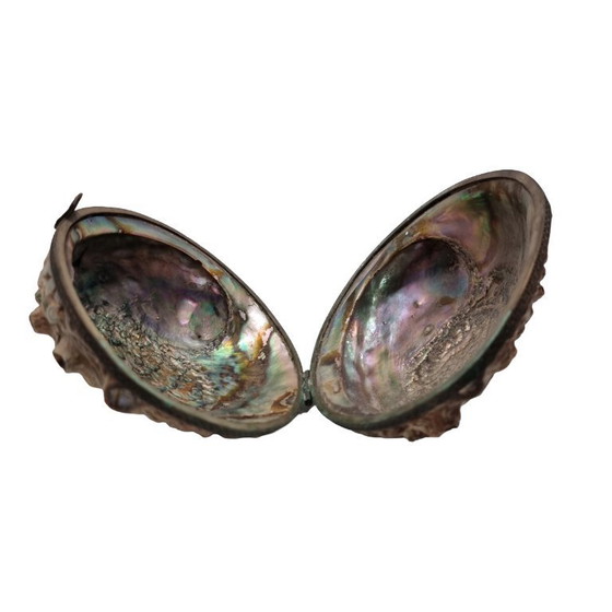 Image 1 of Ancienne boîte en coquille d'ormeau, début du 20e siècle