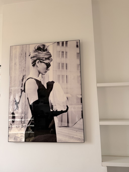 Audrey Hepburn schilderij