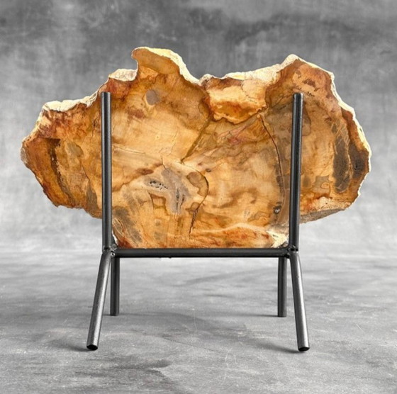 Image 1 of Bois fossilisé de Sooka, fabrication sur mesure standard (nouveau)