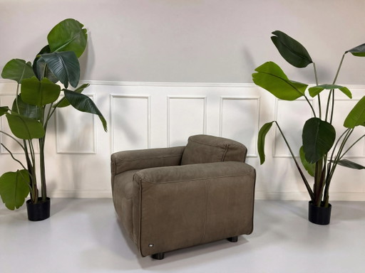 Rolf Benz Mio 552 Sessel Leder Couch Nubukleder Braun