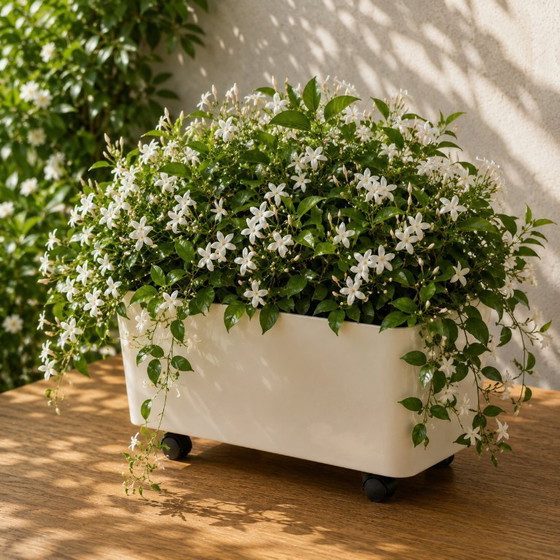 Image 1 of Seltener Pflanzkübel/Behälter im Space-Age-Design, entworfen von Anna Castelli Ferrieri für Kartell, Modell 4682