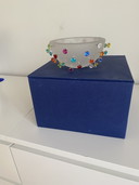 Swarovski crystal bowl Designer Borek Sipek in original box