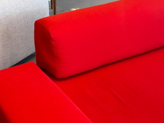 Image 1 of Moroso Lowland