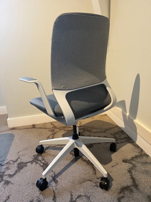 12x Sedus : Chaises de bureau Se Motion