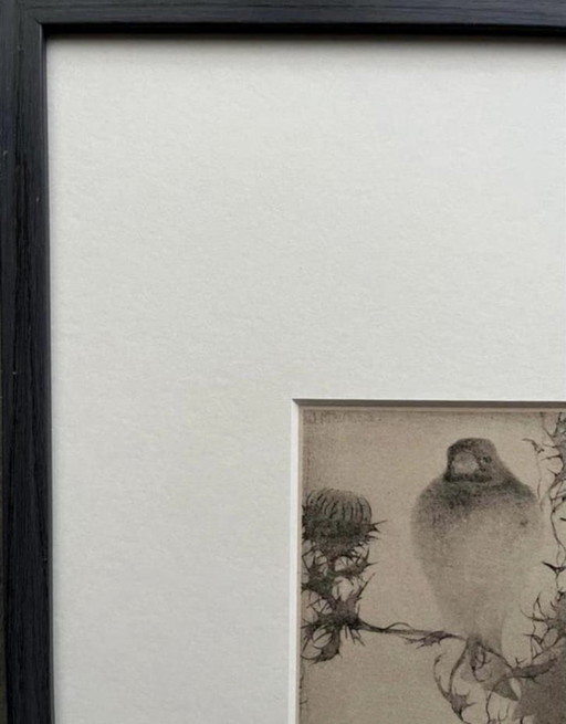 Jan Mankes 1889-1920 / Heliograbado original Jilguero en rama 1923
