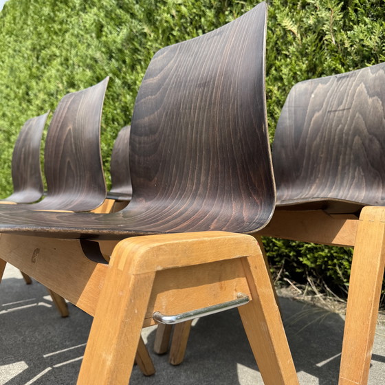 Image 1 of 16 Stühle - ADAM STEGNER für PAGHOLZ FLÖTOTTO