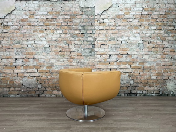 Image 1 of B&amp;B Italia Tulip Sessel Kamel