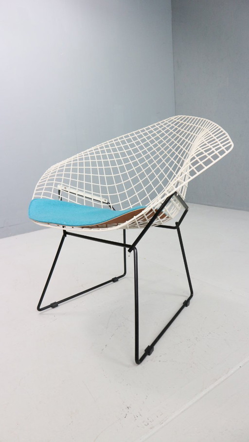 Diamond chair by Harry Bertoia in white & black metal and new blue seating 1960s