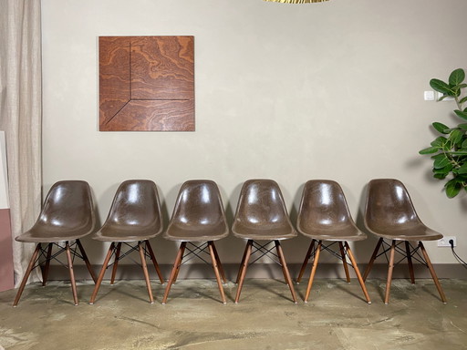 6x Eames HermanMiller/Vitra DSW