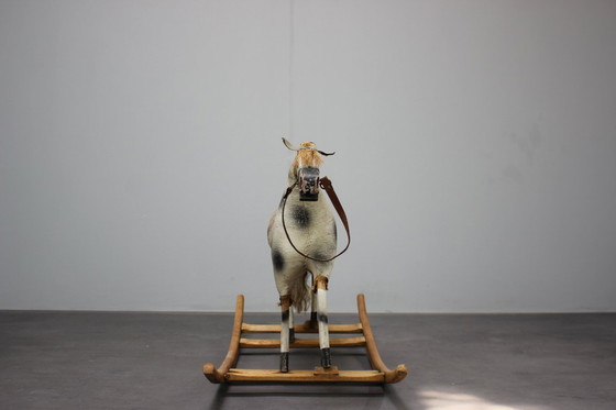 Image 1 of Cheval à bascule Mid Century, années 1960, Tchécoslovaquie