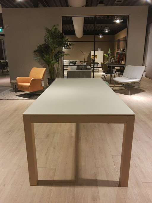 Private Label Saunaco Cas table table - 220x100