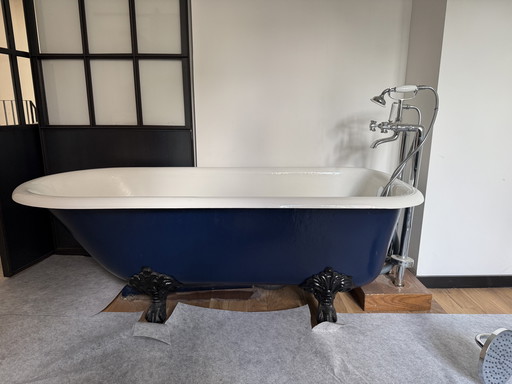 Baignoire îlot élégante sur pieds griffes