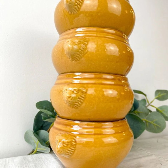 4 Ciotole Vintage in Ceramica Testa di Leone per Zuppa di Cipolle - Miele e Nero, Made in France – Retro (photo 5 of 9)