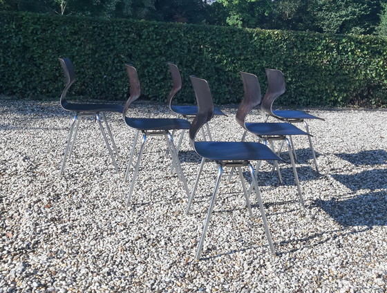 Image 1 of Set Flötotto Pagholz eetkamerstoelen   palisander 