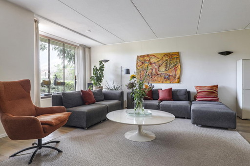 Minotti Sofa Type Braque