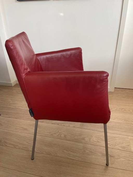 ETICHETTA Gerard vd Berg DESIGN 4 sedie da pranzo