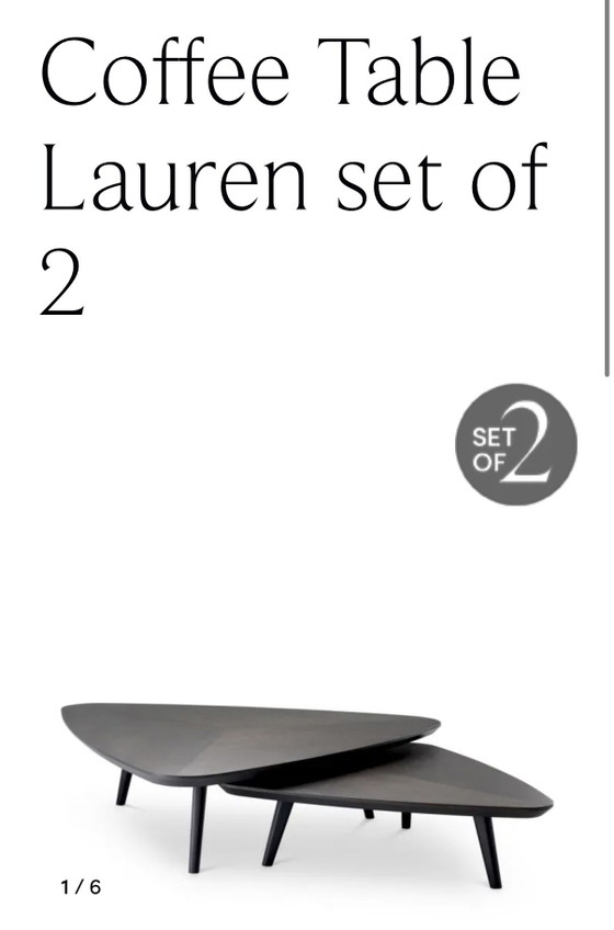 Eichholtz Coffee Table Lauren – Set of 2 | New & unused – Wood (photo 4 of 5)