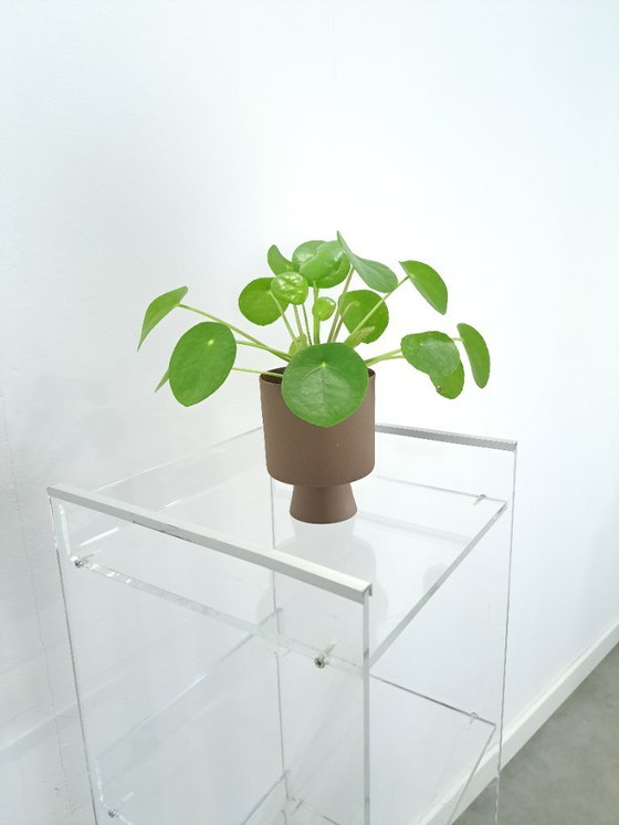 Image 1 of Plexiglass Shelving Unit Storage Cabinet on Wheels